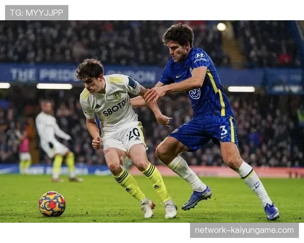 南非队防守端发力,阻击强敌成功,南非胜负 南非队防守端发力,阻击强敌成功,南非胜负